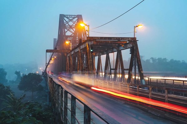 Quels sont les avantages de l'adoption d'oiseaux sauvages blessés?